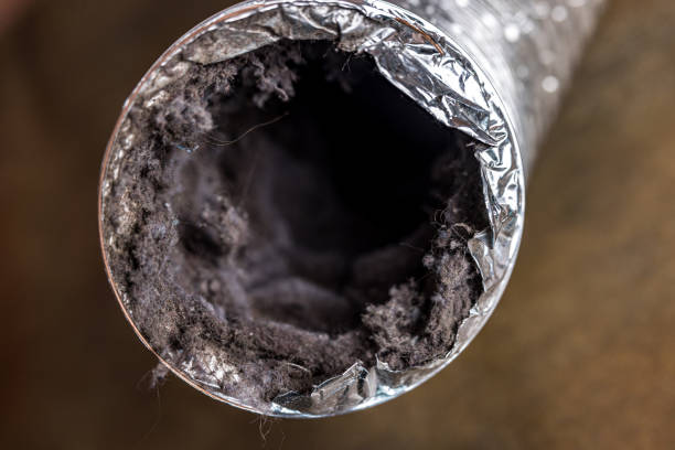Best Local Air Duct Cleaning Services  in Gilmer, TX