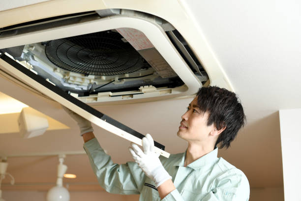 Air Duct Mold Removal in Gilmer, TX